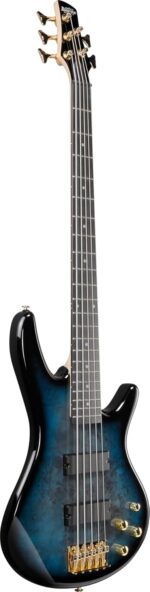 GSR205PC GIO 5-String Bass Guitar - Image 4